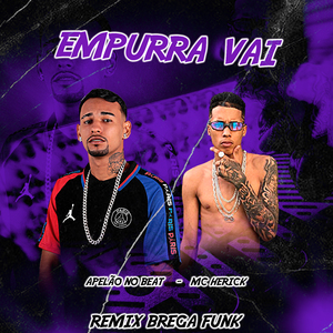 Empurra Vai (Remix Brega Funk)