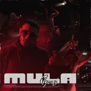 Mula
