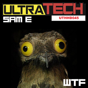 WTF (Original Mix)