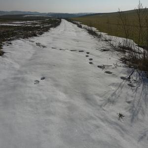 Byłem dzisiaj na drodze (by Positivnic)