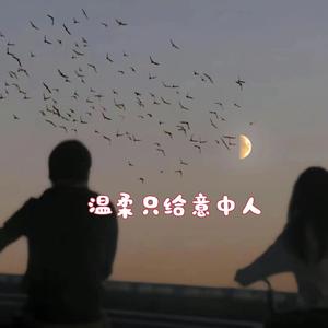 温柔只给意中人