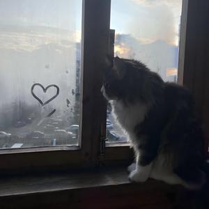 为了一个人一直一个人