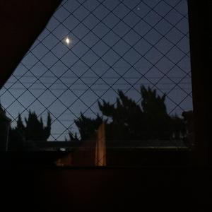 能登麻美子-わたしは、決して（殊魉 remix）