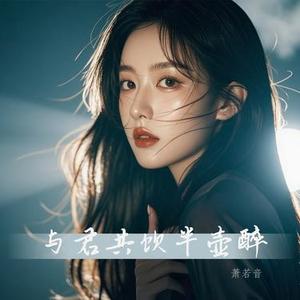 与君共饮半壶醉 (Pop版)
