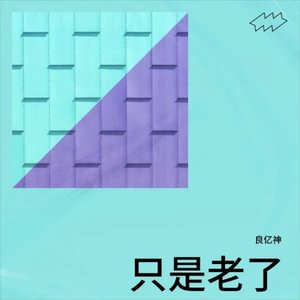 只是老了