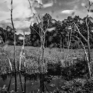 Cues (feat. Jack Wright & Reuben Radding)