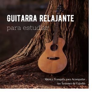 Memorización Rápida