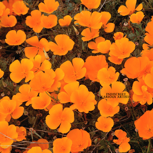 Theme from Ben Casey