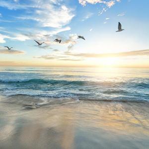 几许孤舟书斋客