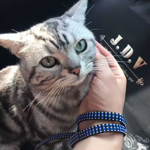 安和桥(吉他版）