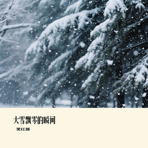 大雪飘零的瞬间