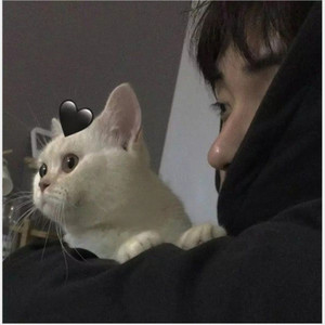 铜锣湾扛把子(DJ版)