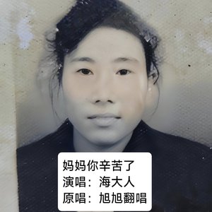 妈妈你辛苦了