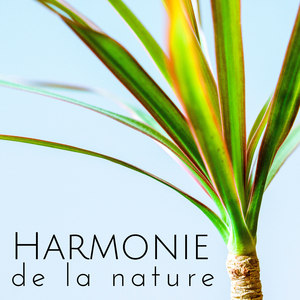 Harmonie