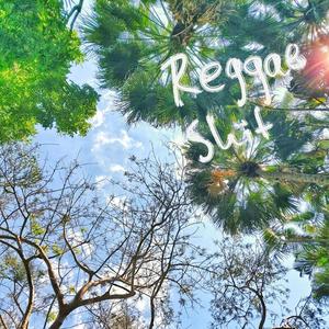 Reggae shit (feat. Pablo Barrios & Sofia Páramo)