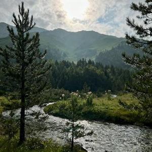 就让岁月开成一朵花 (Cover 阿云朵)