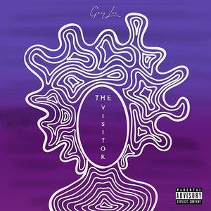 The Visitor