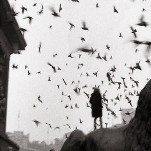 胆小鬼(Prod.Roman x wh1tespxce