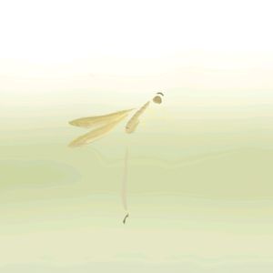 我总想飞「set free」 伴奏