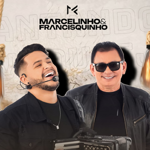 Sanfoneiro Toca Com Animação