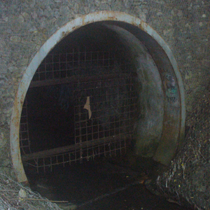 Экстрим трахх