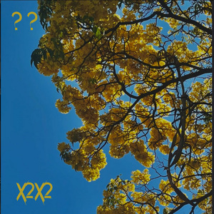 ¿Como se encuentra a alguien como tu?