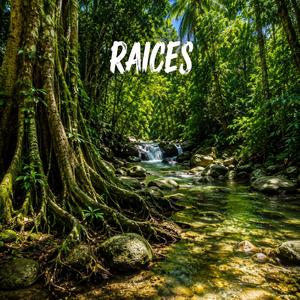 RAICES