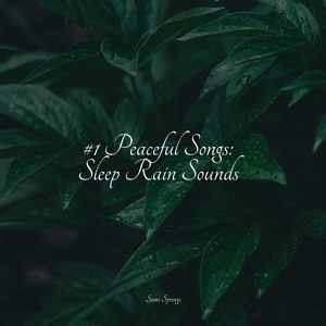 Waves, Far, Strong Wind, Far