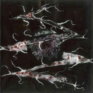 No podré tocar los dientes de la noche