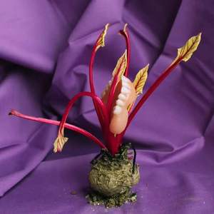 结疤 Ft QQvx （Prod.Gibbo）