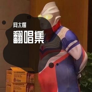 不要说话（翻唱版）