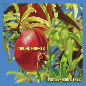 Pomegranate Tree