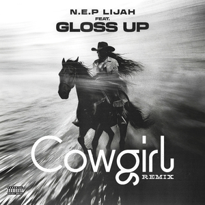 Cowgirl (Remix)