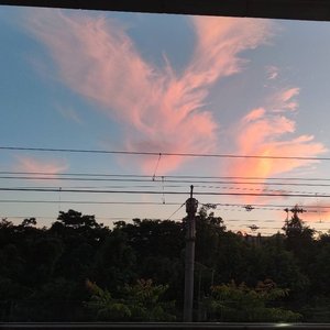 四季