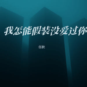 我怎能假装没爱过你