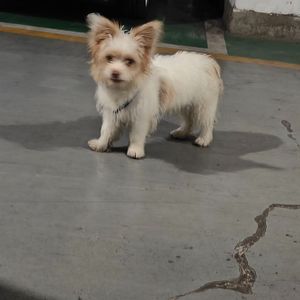 划水（Prod by Jianastic.X）