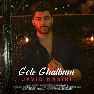 Gole Ghalbam