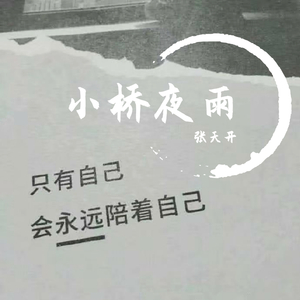 小桥夜雨