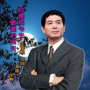 你是我今生最美的月光