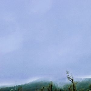 去有风的地方（《去有风的地方》电视剧主题曲) cover:郁可唯