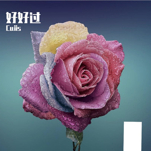 生活不相信眼泪