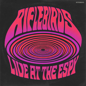 Bat Shit Crazy (Live)