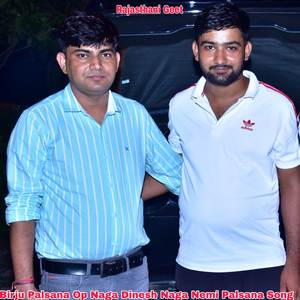 Birju Palsana Op Naga Dinesh Naga Nemi Palsana Song