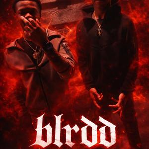 Blrdd