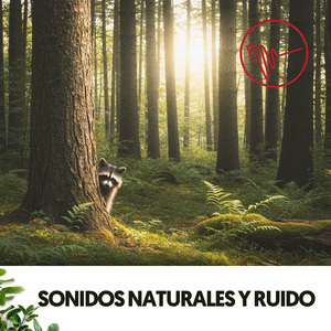 Descante del aguacero