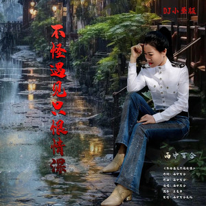 不怪遇见只恨情深-雨中百合 DJ小圣版