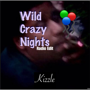 Wild Crazy Nights (Radio Edit)