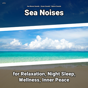 Sea Waves Soundscapes to Fall Asleep To