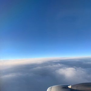 W² - 先生欲何往