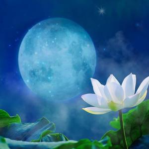 章丘情(男女对唱版)